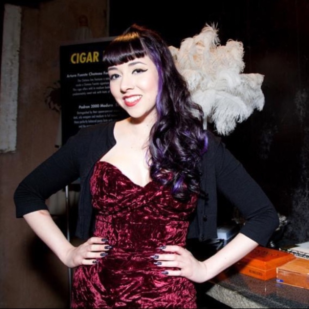 Tatyana crushed velvet pin up dress
